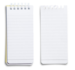  paper page notebook.