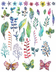 Watercolor floral collection, flowers, leaves and butterflies