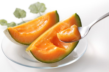 メロン　Melon