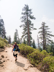 Fototapeta premium Yosemite