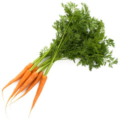 carrots with leaves beam isolated on white