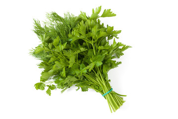 mixed bunch of parsley and dill