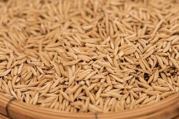 Sangyod brown organic rice of Province Phatthalung, thailand.