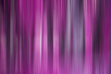Fototapeta premium Abstract art for background use. An image of a forest processed with a motion blur effect. The color tone is purple.