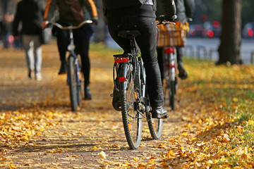Fototapeta na wymiar Radweg mit Herbstlaub