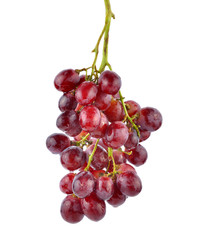 grapes isolated on over white background
