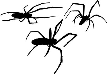 three isolated small black spiders illustration