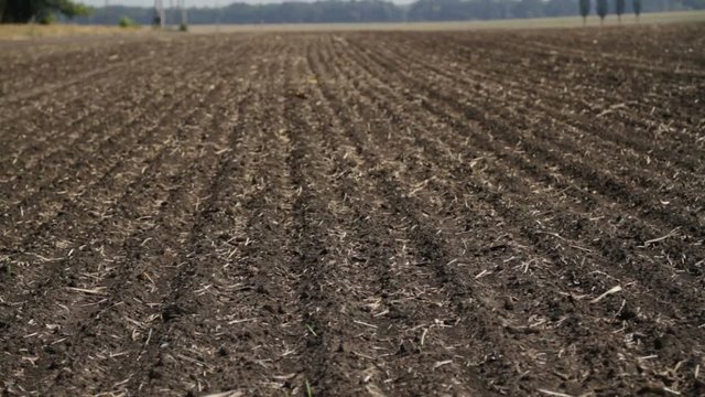 Tractor Plowing in a dry dusty farm