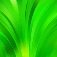 Green smooth light green lines background. Vector illustration