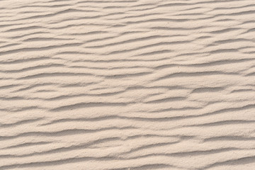 Rippled Sand