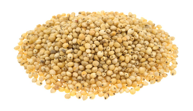 Whole grain sorghum seeds on a white background.