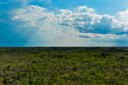 Fototapeta Mexico of the Forest as seen from the top of the Coba ruins ( horizontal )