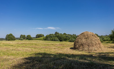 Поле