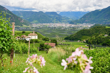 Blick auf Bozen in Südtirol