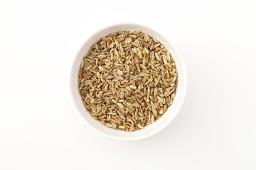 フェンネルホール