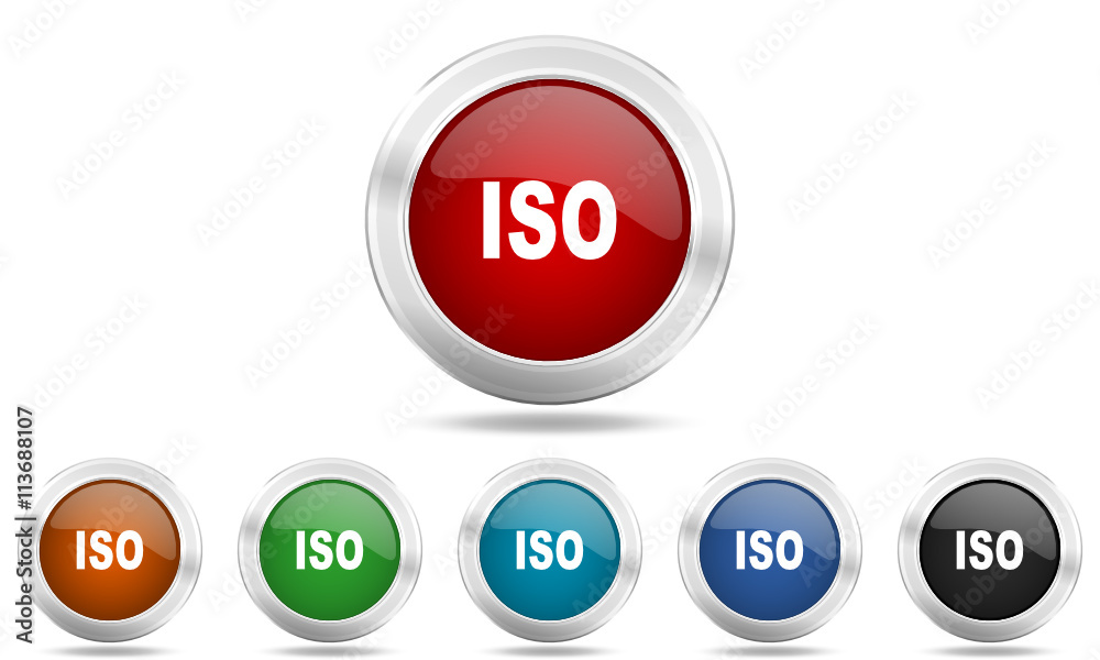 Poster Web glossy colored vector iso icon set