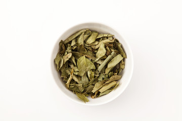 カレーリーフ　カルピンチャ（インド）