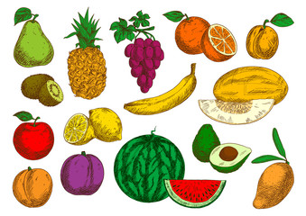 Flavorful and sweet fruits retro colored sketches