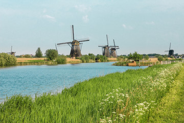 Traditional Dutch windmills with green grass in the foreground, The Netherlands