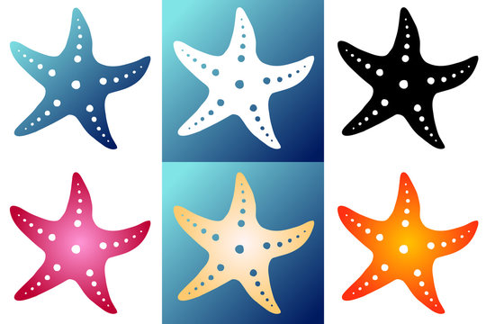 Set six silhouette starfish