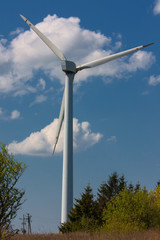 Windmill near the sea.