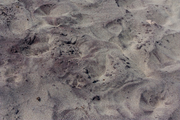 Marine dry sand