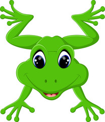 Cute frog cartoon