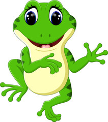 Cute frog cartoon