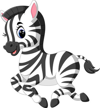 illustration of cute baby zebra