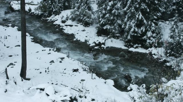 vereister bach im winter