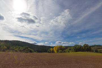 Fototapeta premium Feld im Oktober mit blauem wolkigen Himmel