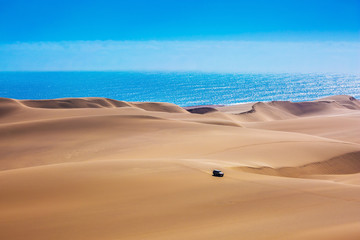 Huge sand dunes moving on the Atlantic coast © Kushnirov Avraham