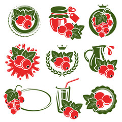 Red currant labels and elements set. Vector