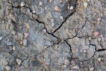 Dried and Cracked ground
