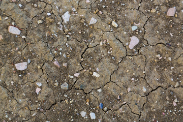 Dried and Cracked ground