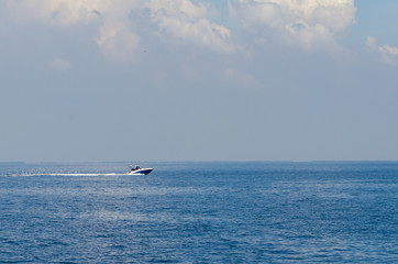 Seagulls flying follow spead boat in the ocean