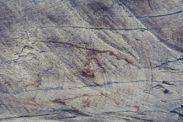 Fototapeta premium wood texture background