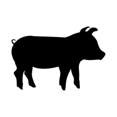 pork animal farm isolated icon design 
