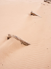 Wooden groynes on the beach at Lossiemouth, Morray Firth, Scotland, UK,