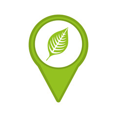 leafs plant isolated icon design