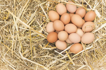 Huevos de gallina , cesta con huevos sobre la paja