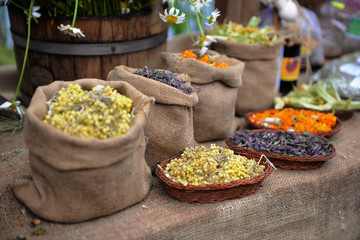 Set of herbs hanging and drying