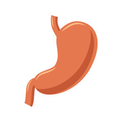 Stomach icon in cartoon style