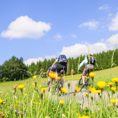 MTB und Nordic Walking