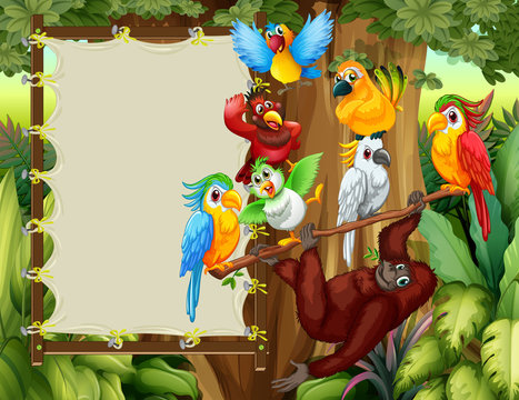 Frame designs with wild birds and monkey