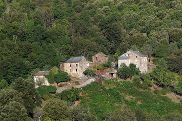Fototapeta na wymiar Village de Corse en Castagniccia