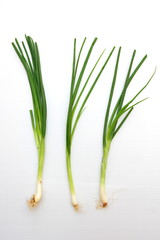 green onion