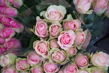 mazzo di rose rosa
