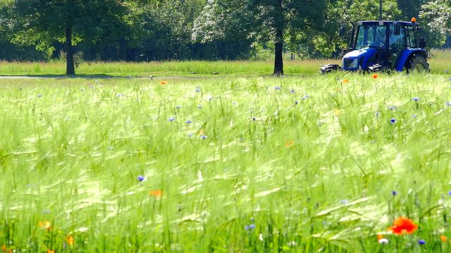 slow motion di trattore che lavora in campi della Pianura Padana - Italia 5