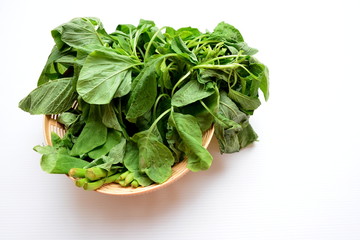 spinach - vegetable in basket